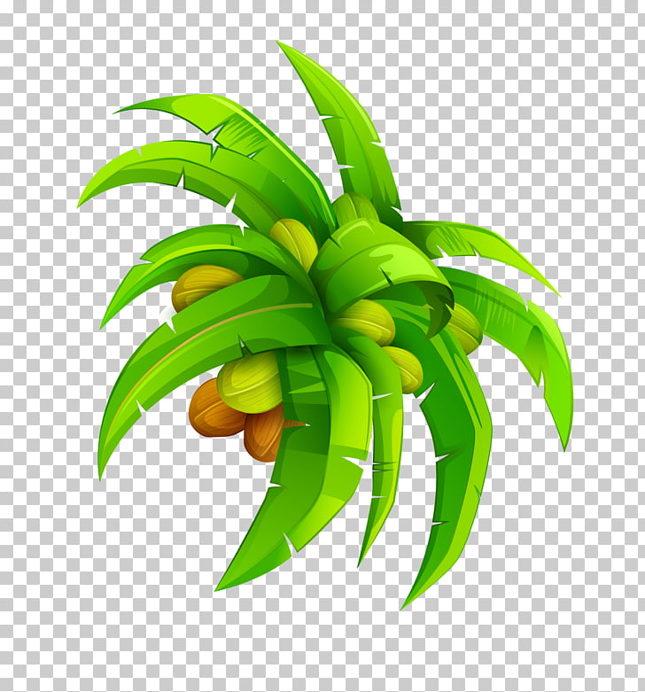 728x781 Leaf Coconut Euclidean Cartoon Coconut Leaf Coconut Green
