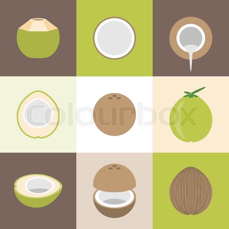 800x800 Vector Coconut Icons Set, Flat Design Stock Vector Colourbox