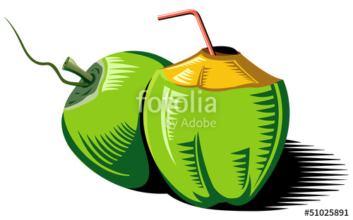 500x313 Coconut Vector Stock Image And Royalty Free Vector