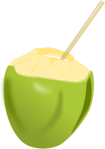 424x600 Coconut Free Vector In Open Office Drawing