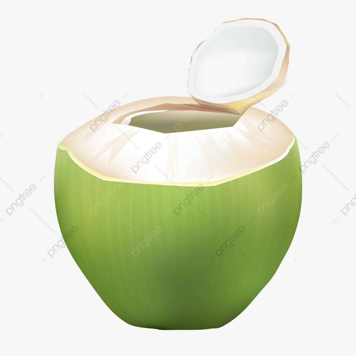 1200x1200 Coconut Vector, Coconut, Coconut Clipart, Delicious Png And Vector