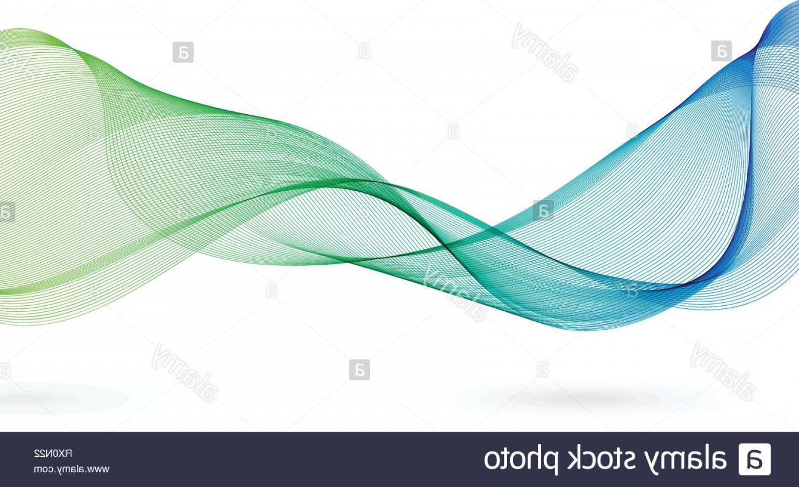 1560x951 Gradient Vector Catamart