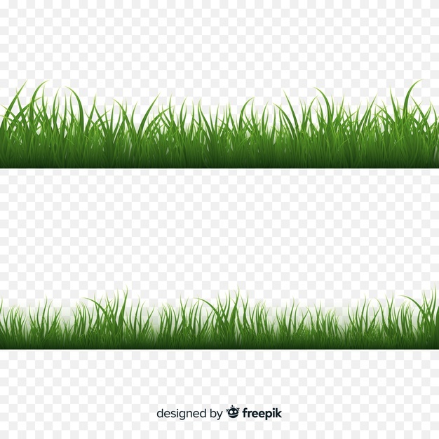 626x626 Grass Vectors, Photos And Free Download