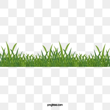 360x360 Green Grass Png, Vector, And Clipart With Transparent