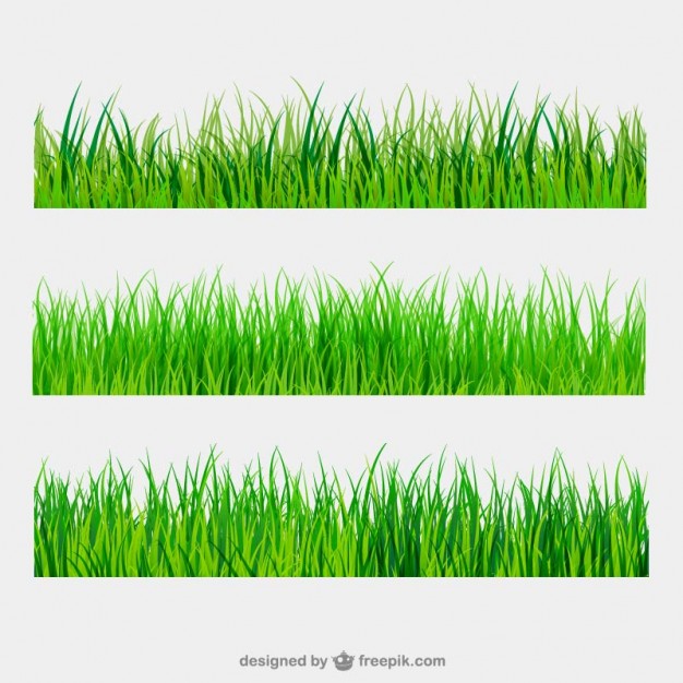 626x626 Green Grass Borders Vector Free Download