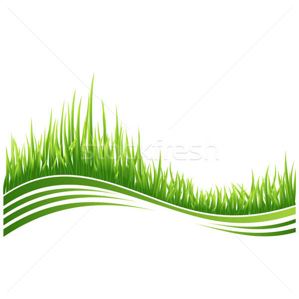 600x600 Green Grass Vector Illustration Liubomyr Feshchyn