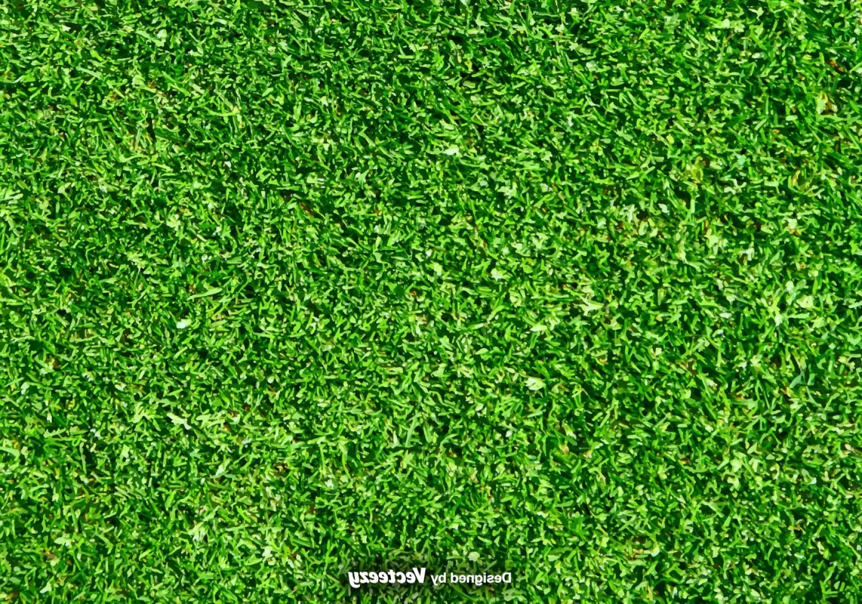 1680x1176 Lawn Nature Green Grass Vector Background Cqrecords