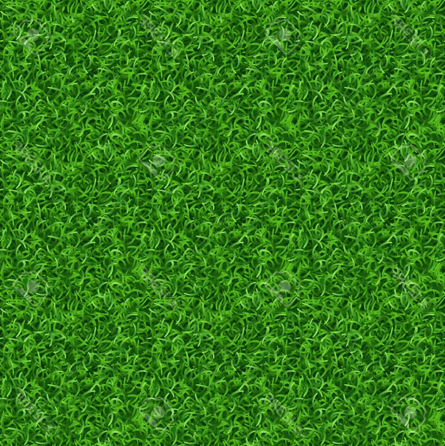 1558x1560 Photostock Vector Seamless Grass Vector Texture Green Grass Meadow
