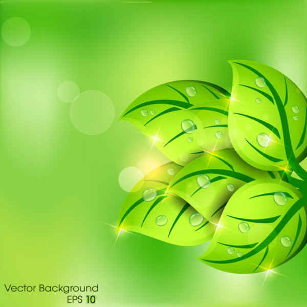 600x600 Free Green Leaf Background Files, Vectors Graphics