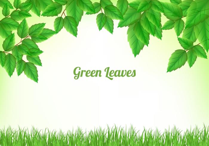 700x490 Green Leaves Background