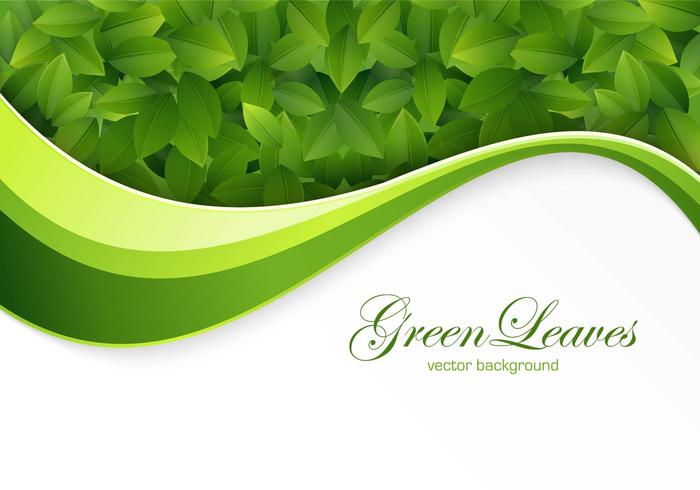 700x490 Green Leaves Background Vector