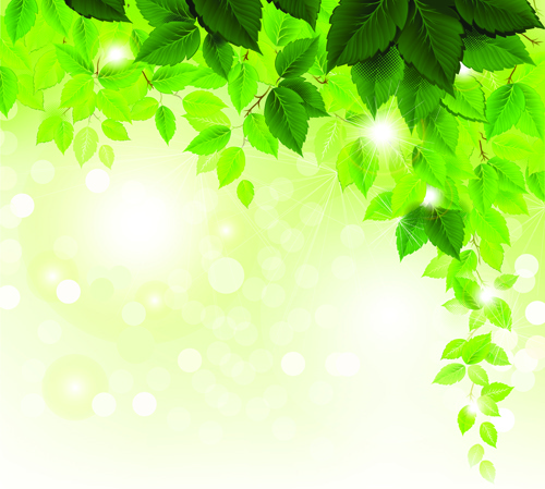 500x449 Refreshing Green Leaves Background Vector Vector Background Free