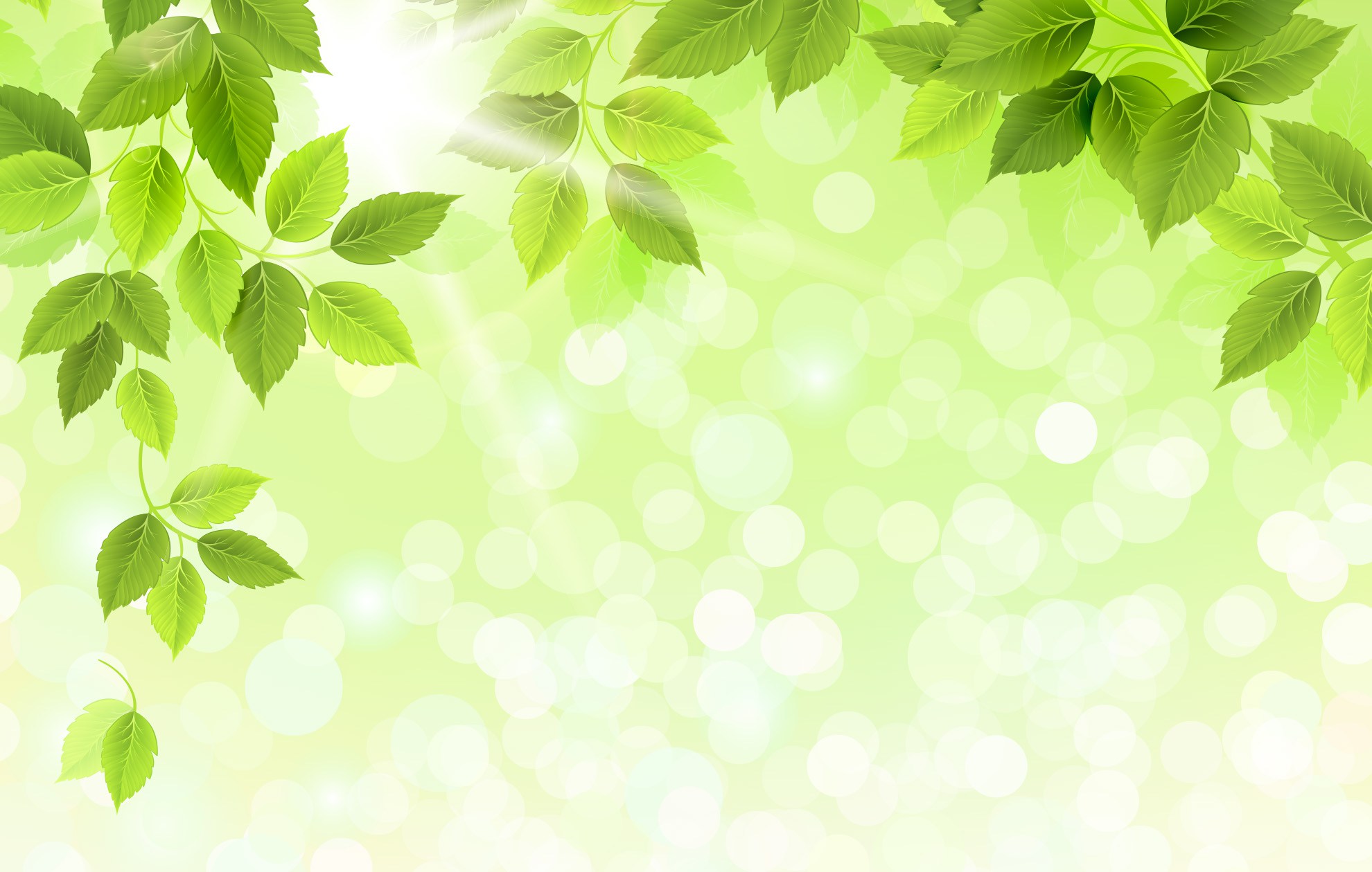 1980x1260 Refreshing Green Leaves Background Vector