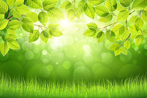 500x333 Spring Sunlight With Green Leaves Background Vector Free Download