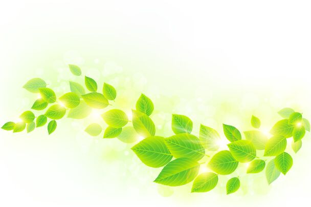 608x404 Spring Sunlight With Green Leaves Background Vector