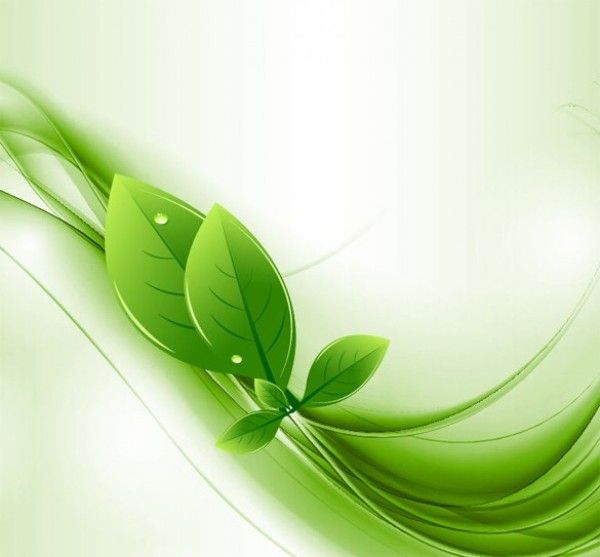 600x557 Details Eco Leaves Green Waves