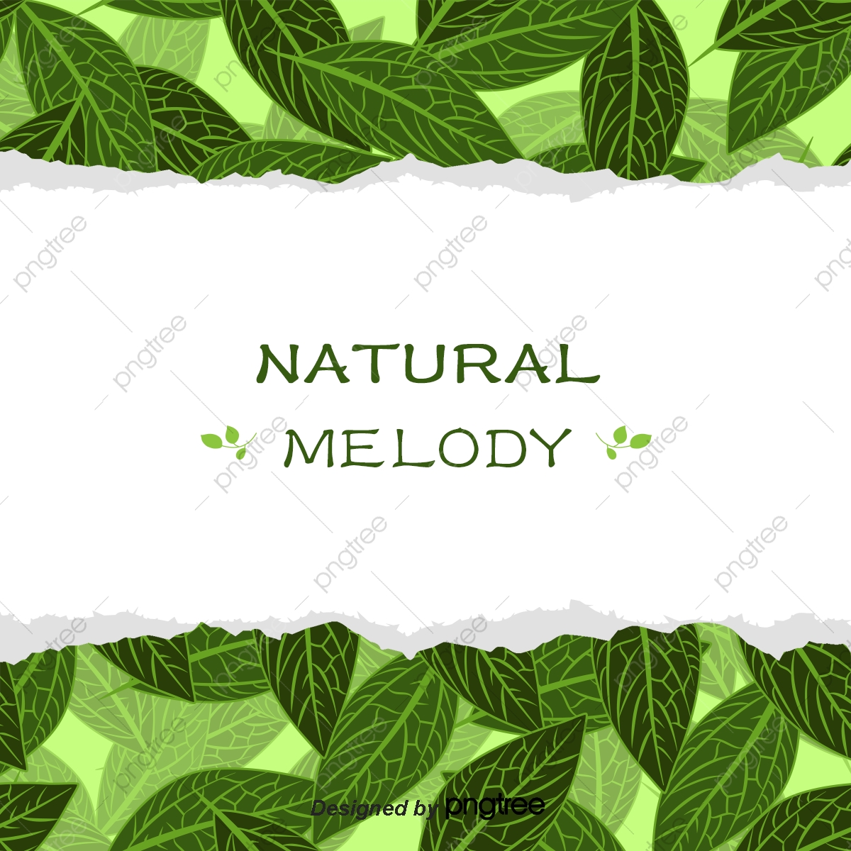 1200x1200 Creative Green Leaves Vector Background, Green Vector, Leaves