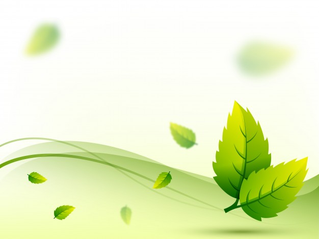 626x469 Detailed Green Leaves On Wave Background Vector Free Download