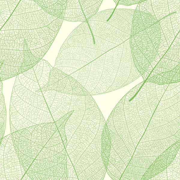 600x600 Elegant Green Leaves Background Vector Graphics My Free
