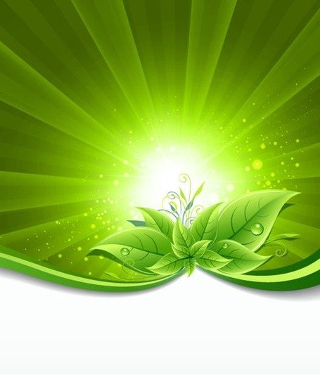 455x533 Free Green Leaves On Burst Backgrounds Clipart And Vector Graphics
