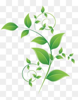 Green Leaf Vector