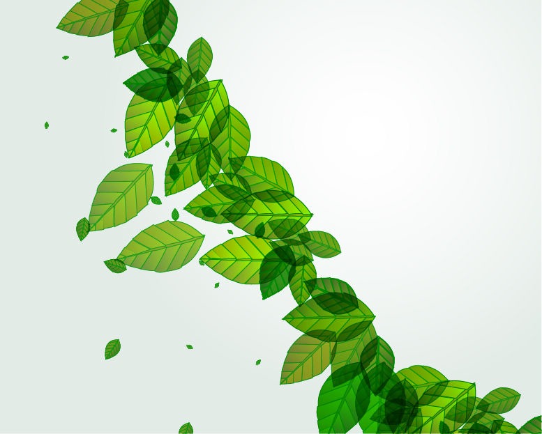 777x623 Fresh Green Leaves Vector Background Free Vector Graphics All