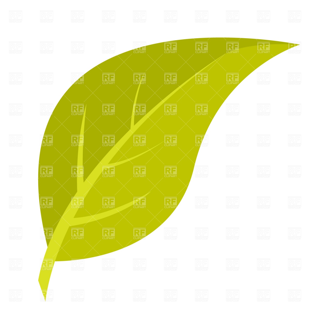 1200x1200 Green Leaf Vector Image Of Plants And Animals Prague