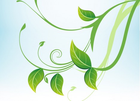 468x338 Green Leaves Vectors Stock In Format For Free Download