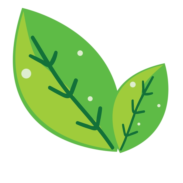 640x640 Illustration Of Fresh Green Leaves, Green, Illustration, Leaf Png