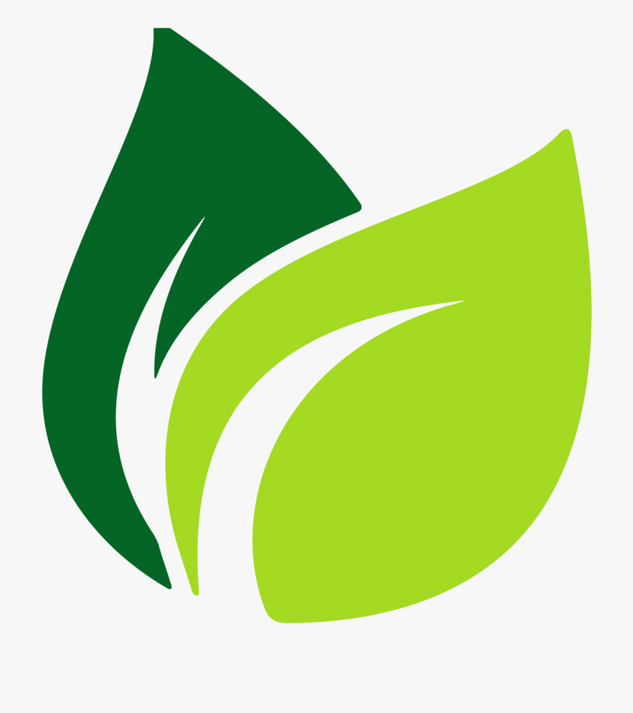 920x1036 Image Result For Leaf Vector Origins