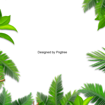 360x360 Leaf Vector, Graphic Resources For Free Download