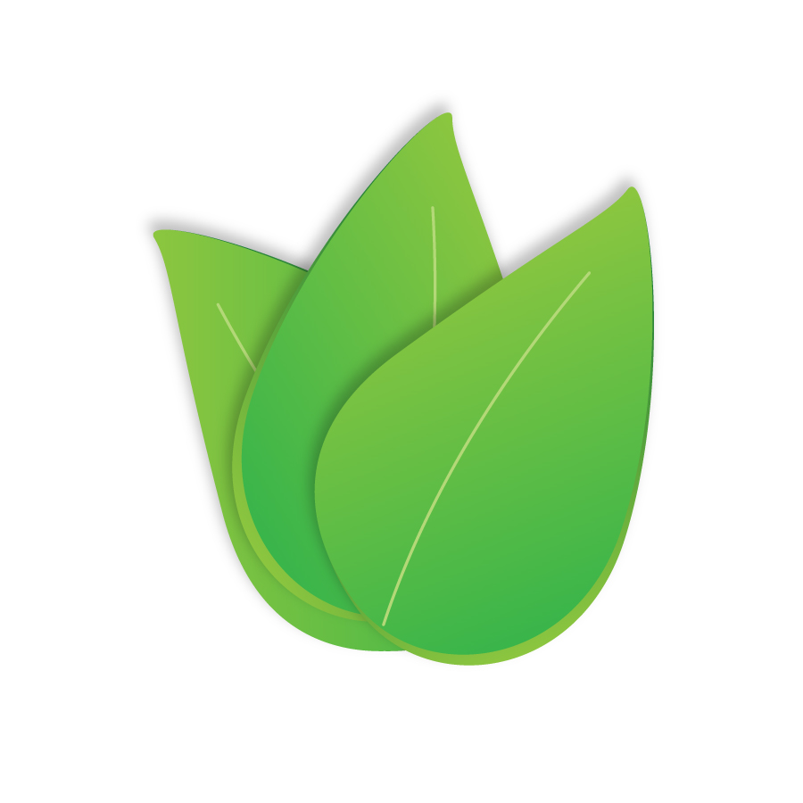 900x900 Three Green Leaves Free Vector Free Vectors Ui Download