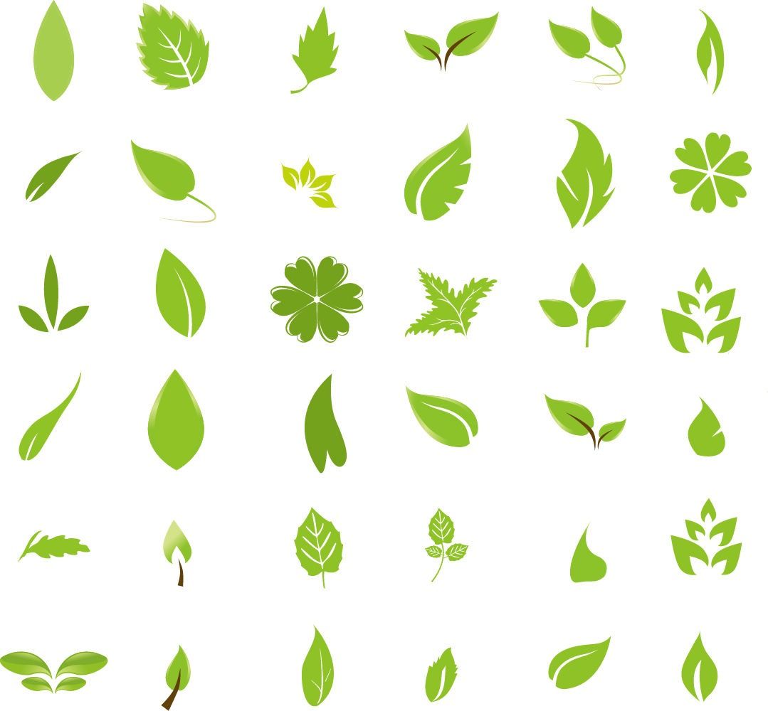 1079x1000 Free Graphic Design Green Leaf Design Elements Free Vector