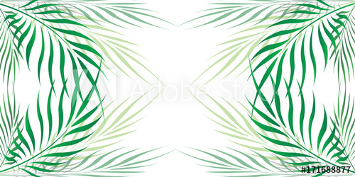 500x250 Graphic Leaves Of Coconut Abstract Pattern Background Green