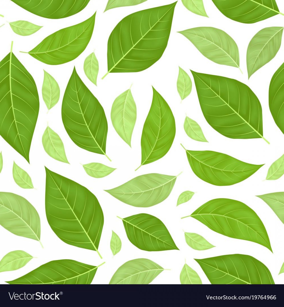 1200x1296 Green Leaf Seamless Vector Lamaison