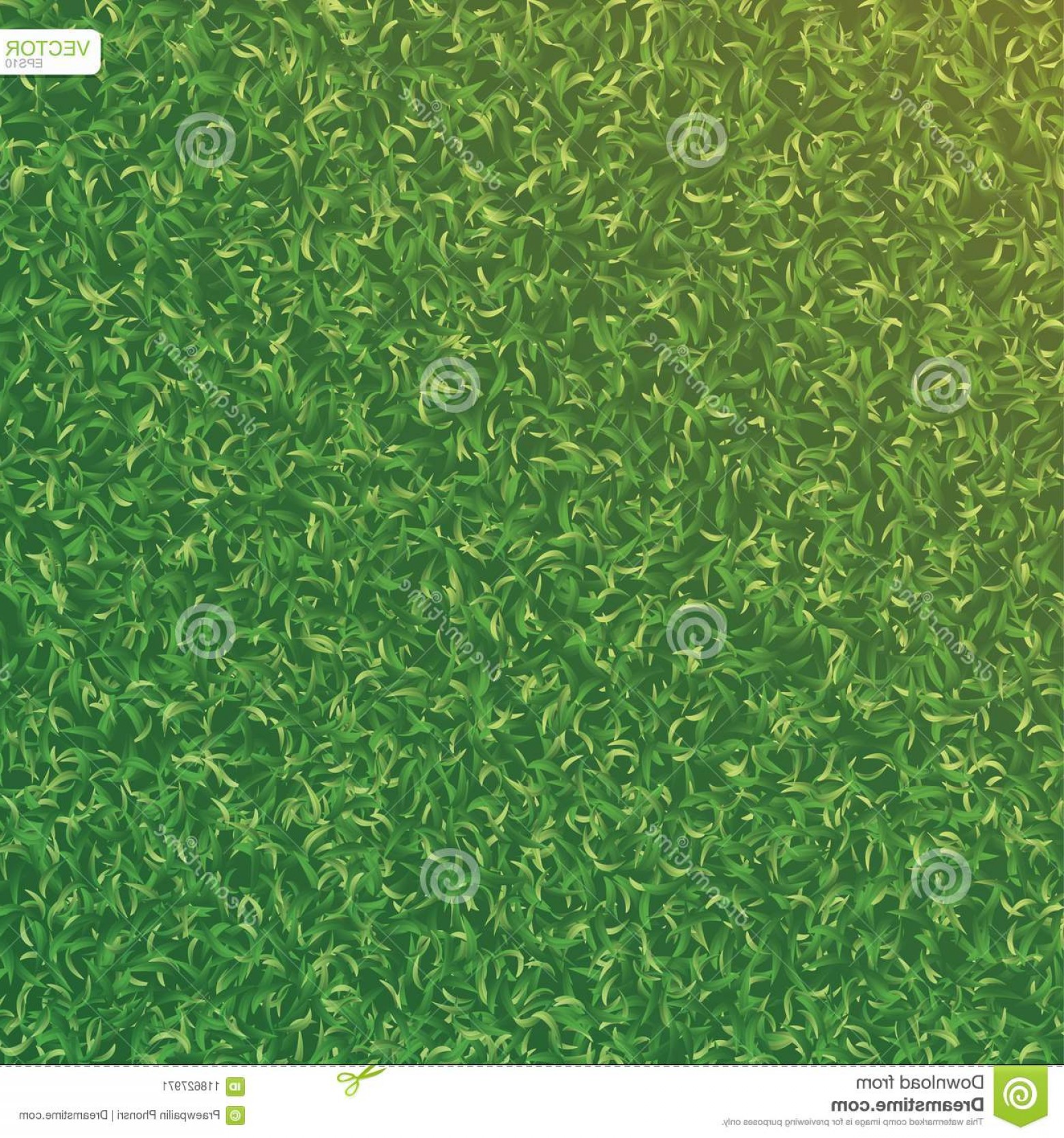 1560x1668 Green Nature Lawn Grass Texture Pattern Background Vector Green