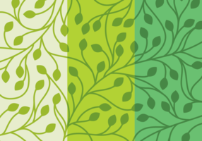 286x200 Green Pattern Free Vector Art