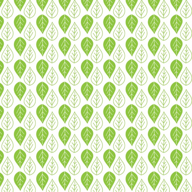 626x626 Vectors Of Leaves Free Vector Graphics Everypixel