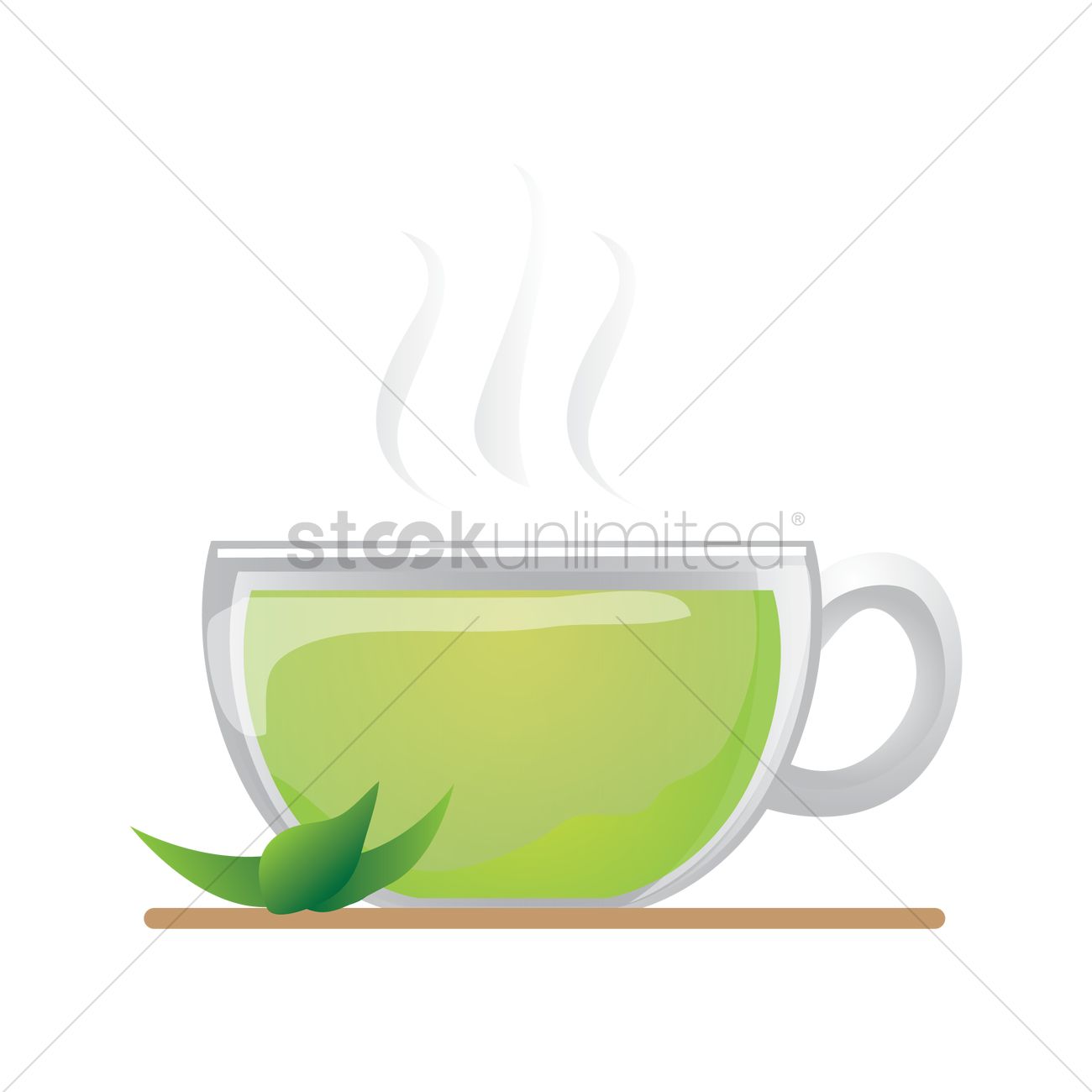 Green Tea Vector Image 1300x1300 Green Tea Vector Image