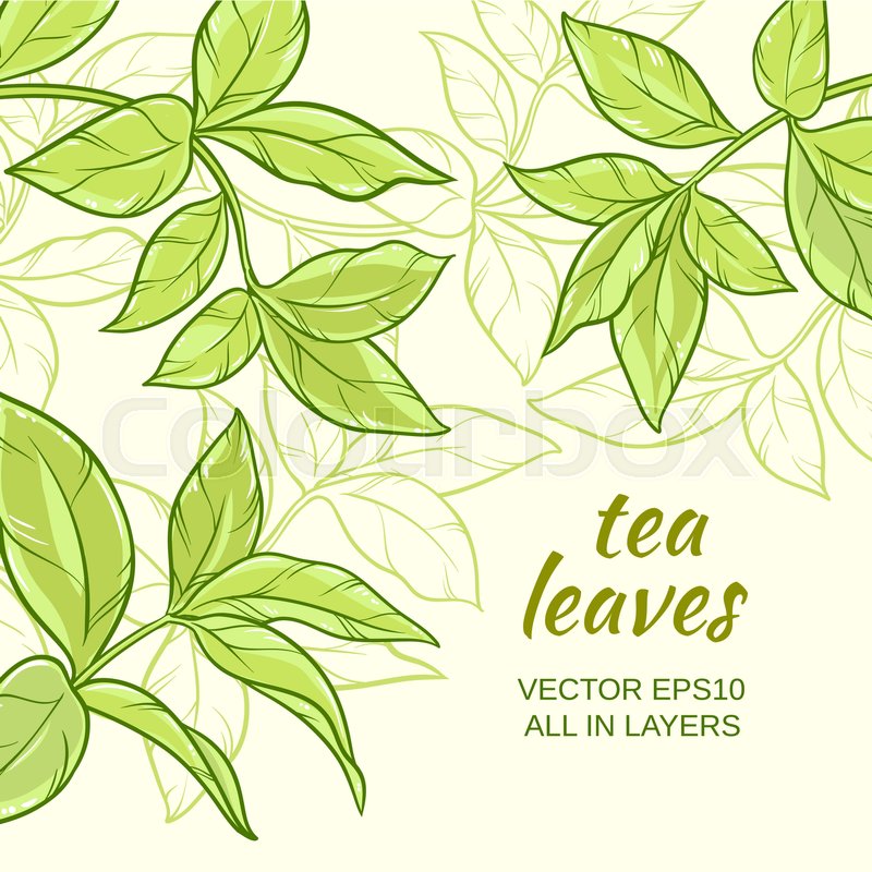 Illustration With Green Tea Leaves On Stock Vector Colourbox 800x800 Illustration With Green Tea Leaves On Stock Vector Colourbox