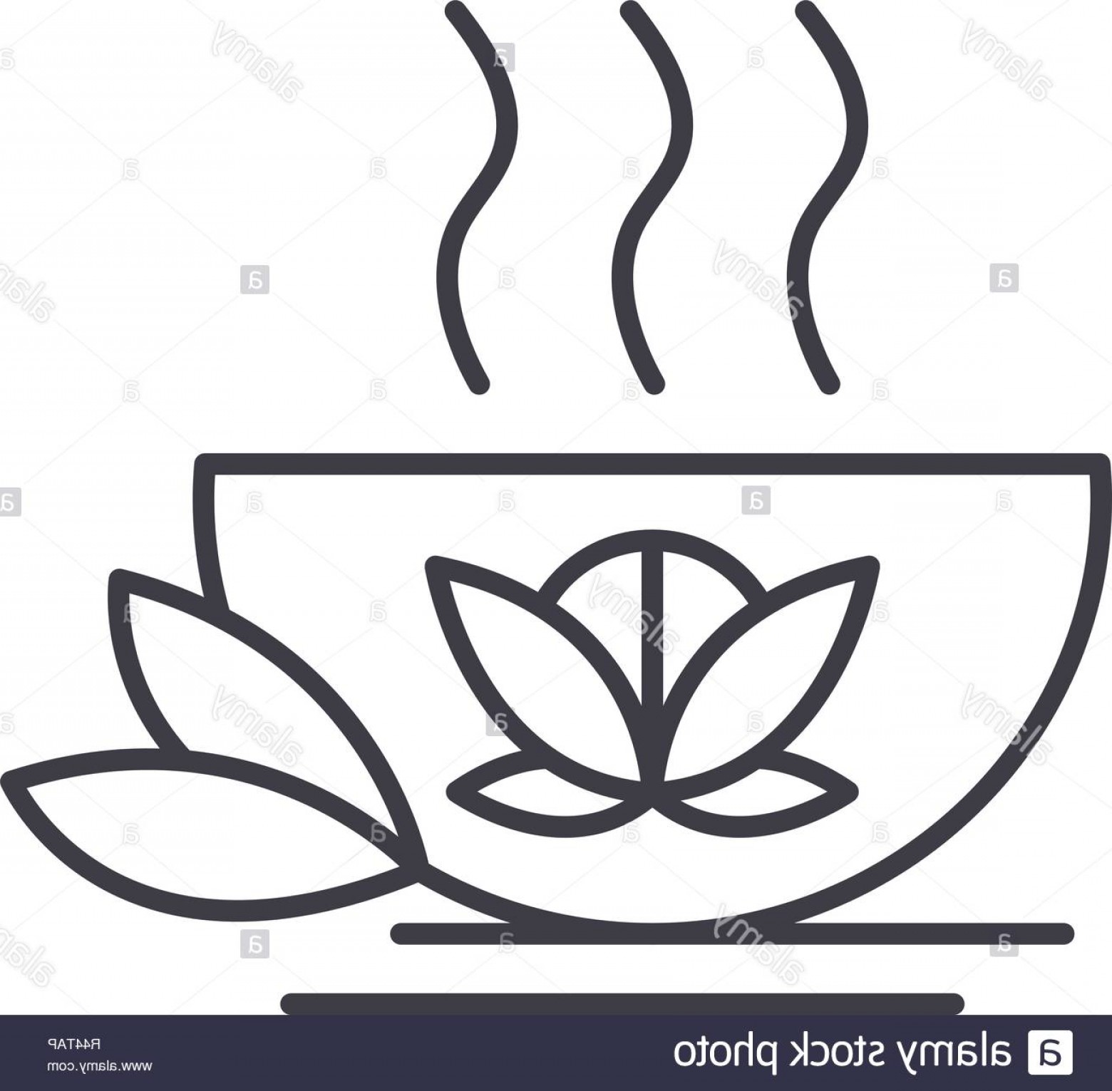 Tea Vector Catchsplace 1560x1531 Tea Vector Catchsplace