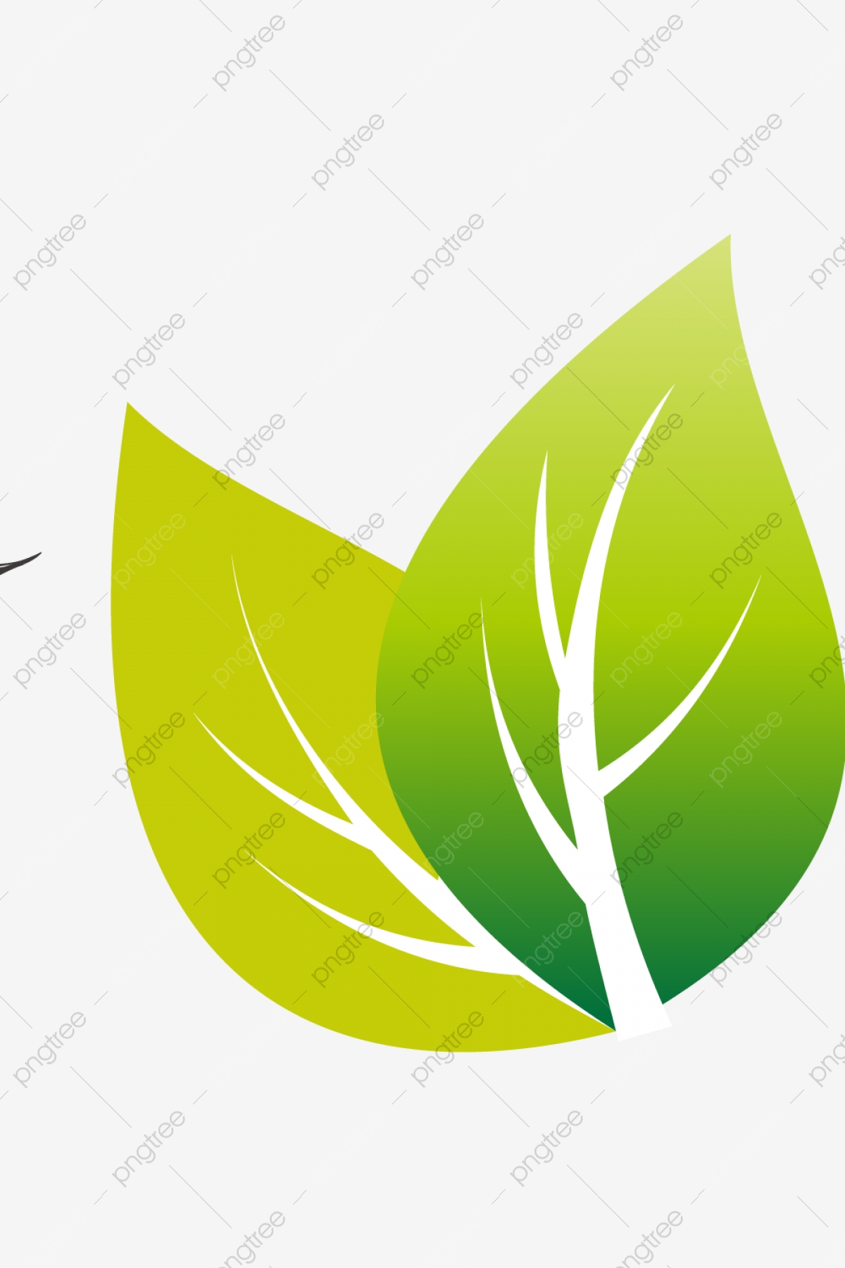 Green Fuding White Tea Handmade Tea Vector Material, Green Vector 1200x1800 Green Fuding White Tea Handmade Tea Vector Material, Green Vector