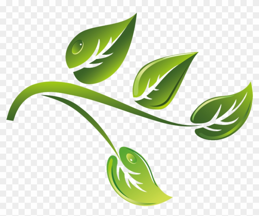 Green Tea Branch Vector Material Cartoon 840x703 Green Tea Branch Vector Material Cartoon