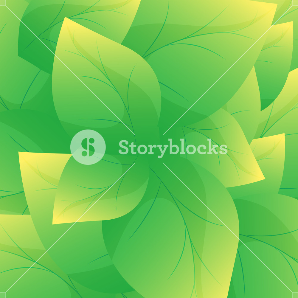 1000x1000 Green Leaf Background Vector Beautiful Leaves Texture Background