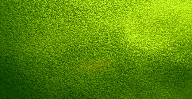 626x325 Beautiful Green Texture Background Vector Free Download