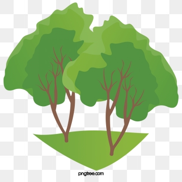 Green Tree Png, Vector, And Clipart With Transparent 360x360 Green Tree Png, Vector, And Clipart With Transparent