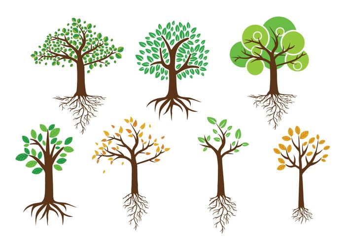 Green Tree With Roots Vectors 700x490 Green Tree With Roots Vectors