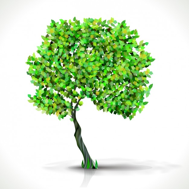 Green Tree Vector Free Download 626x626 Green Tree Vector Free Download