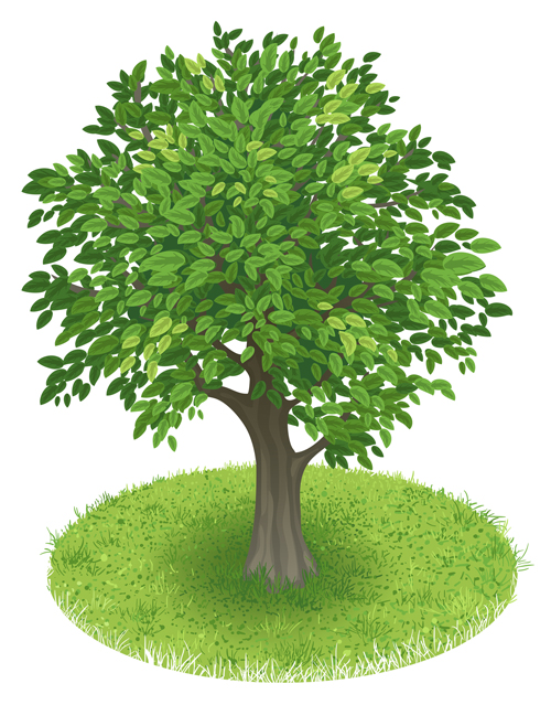 Creative Green Tree Design Vector Graphics Free Download 500x639 Creative Green Tree Design Vector Graphics Free Download