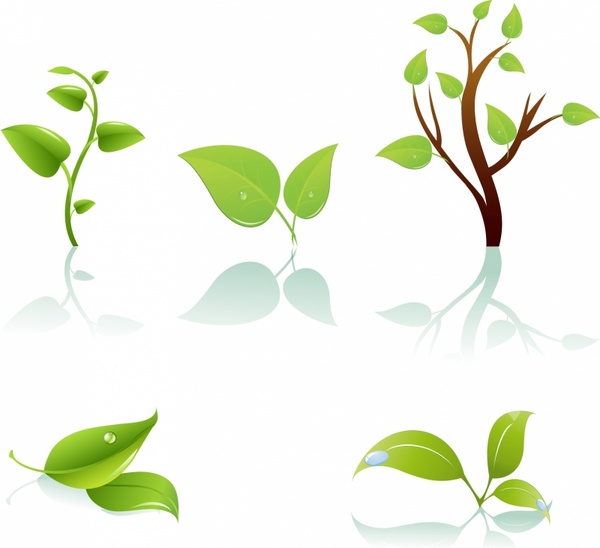 Green Tree And Leaf Free Vector In Adobe Illustrator 600x548 Green Tree And Leaf Free Vector In Adobe Illustrator